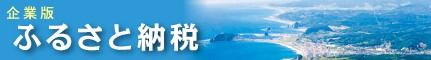 企業版ふるさと納税（地方創生応援税制）